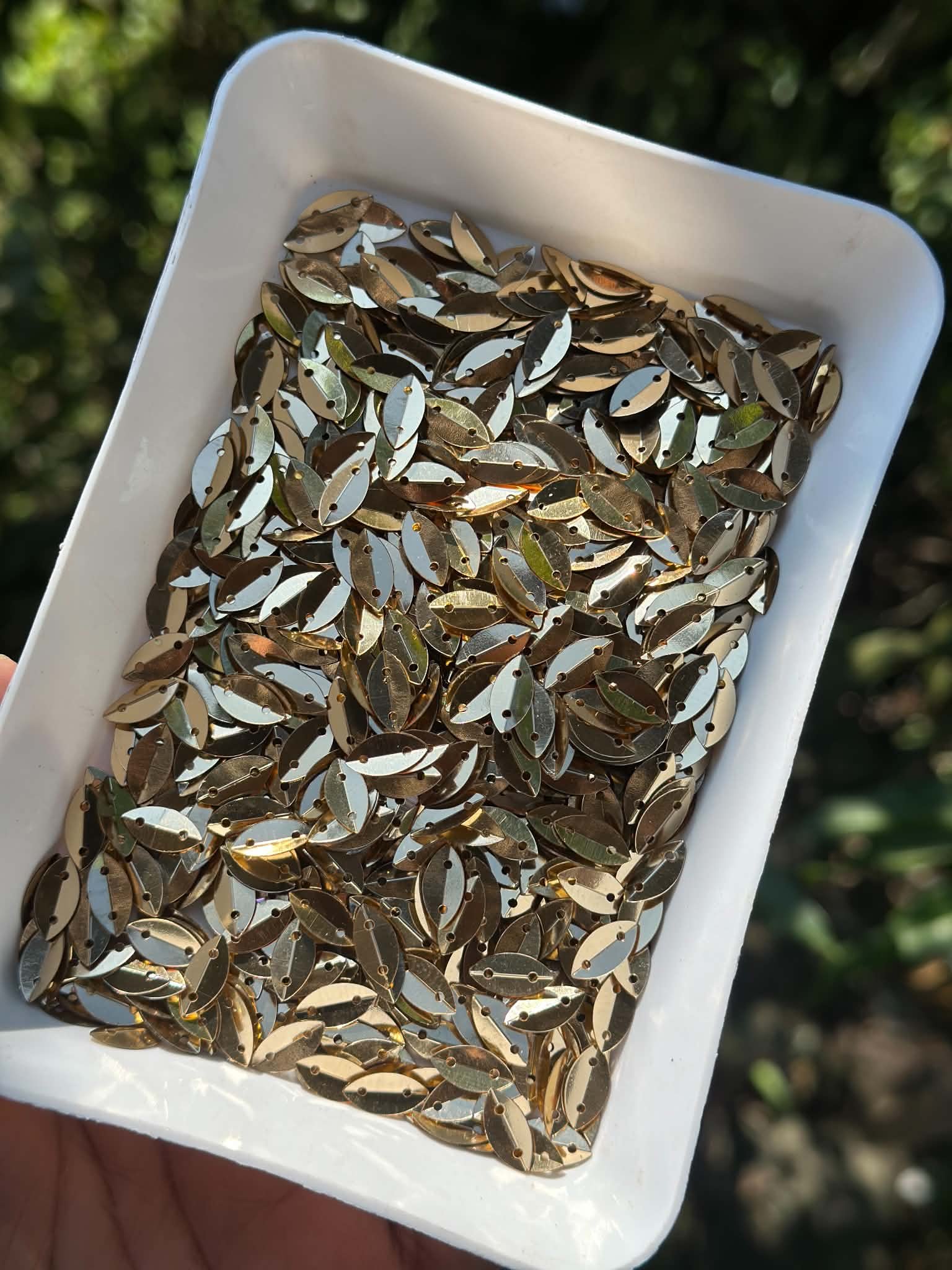 Noka golden