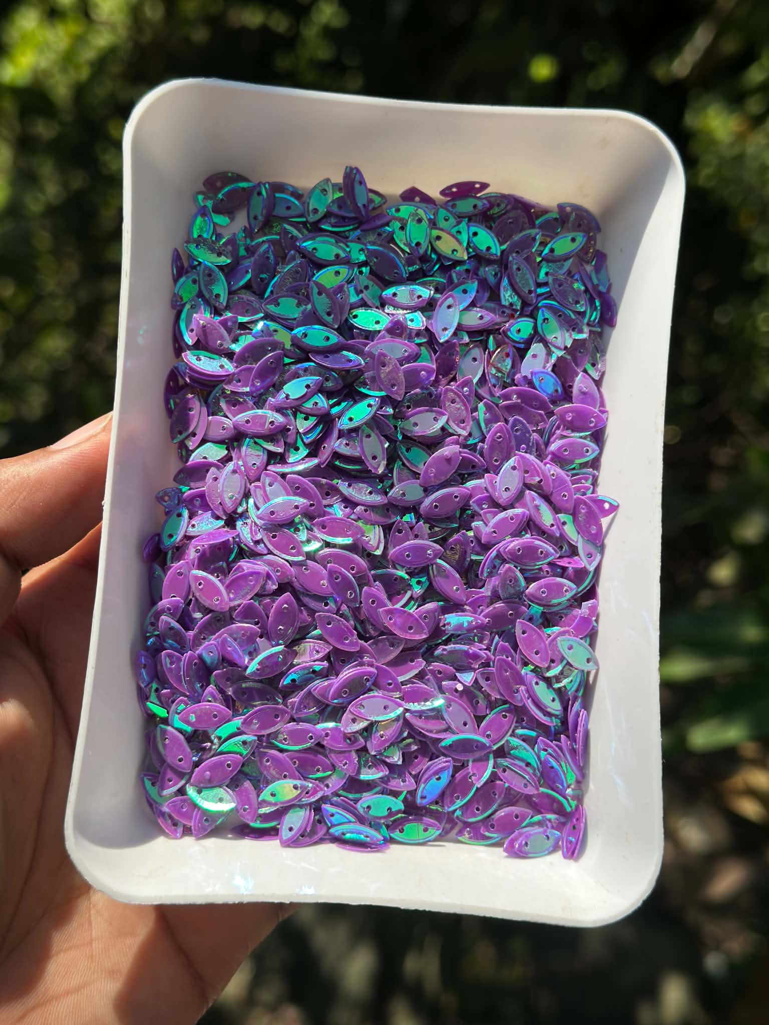 Noka purple