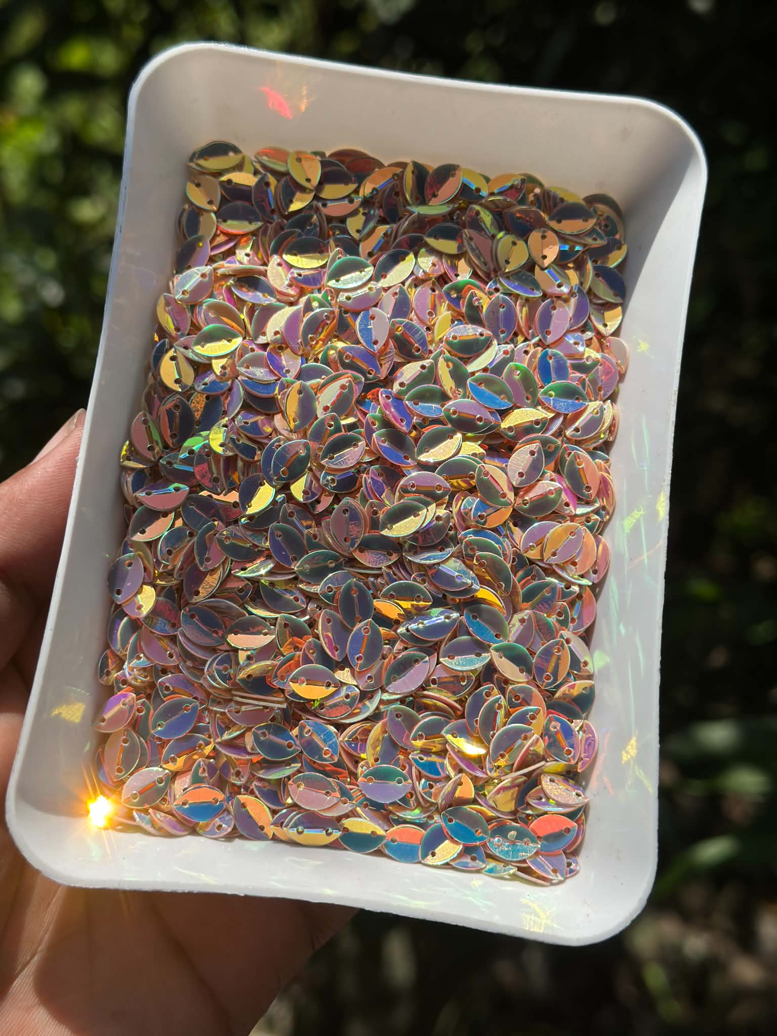 Noka multi gold