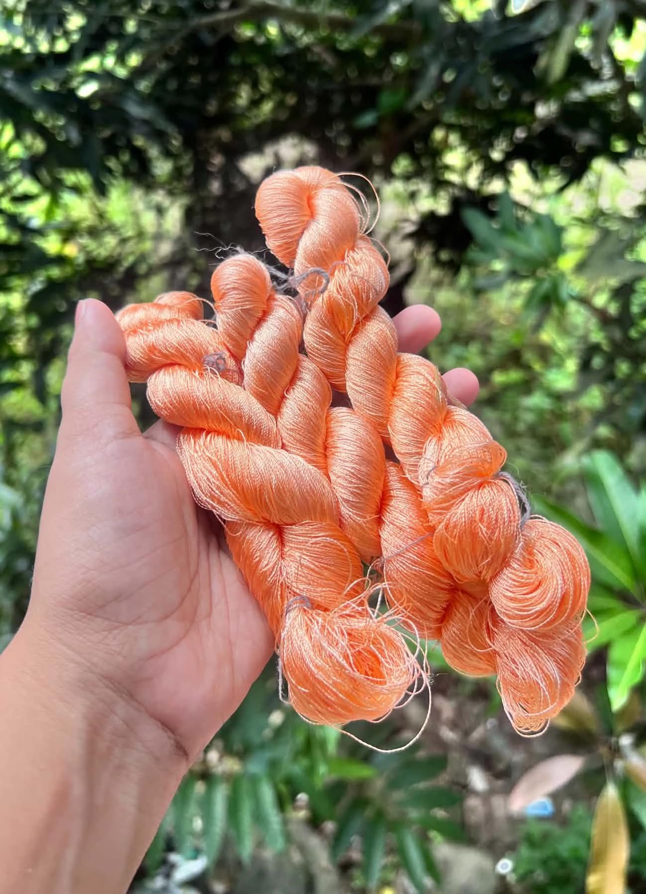 Resmisuta  Peach Color